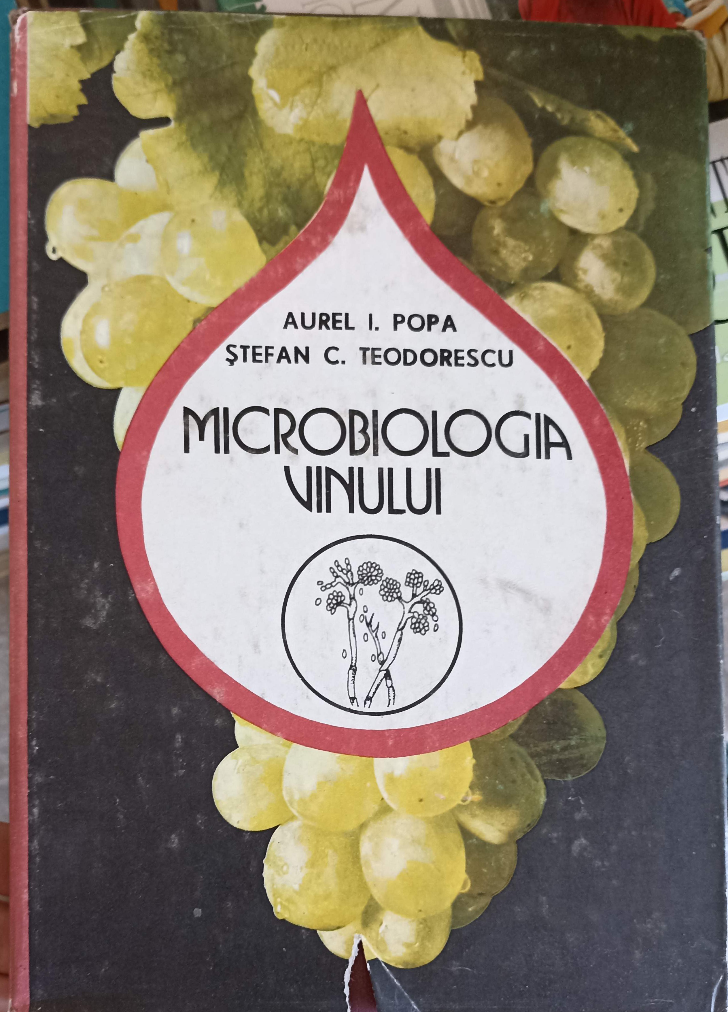 Microbiologia Vinului