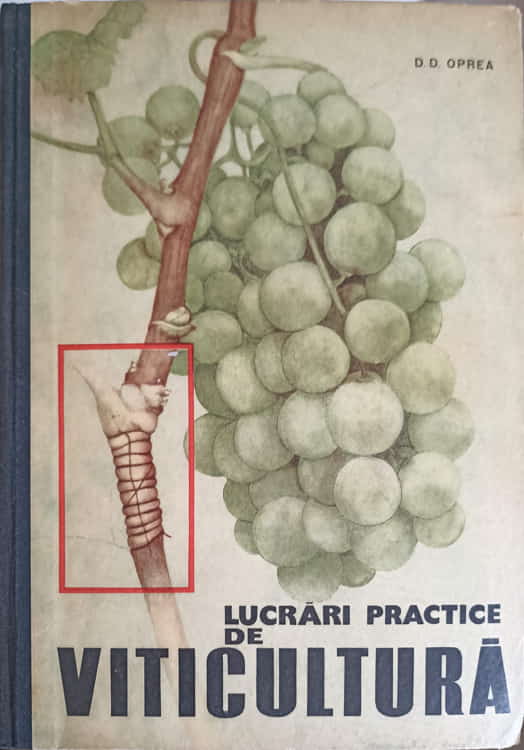 Lucrari Practice De Viticultura