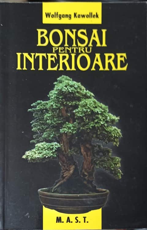 Bonsai Pentru Interioare