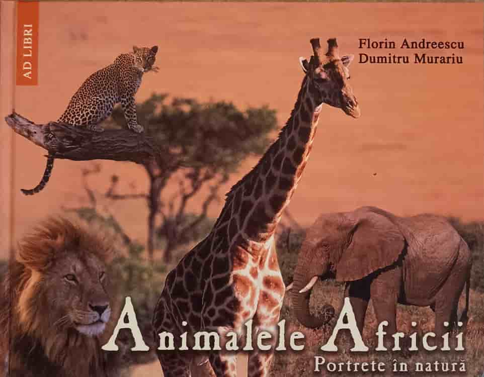 Animalele Africii. Portrete In Natura