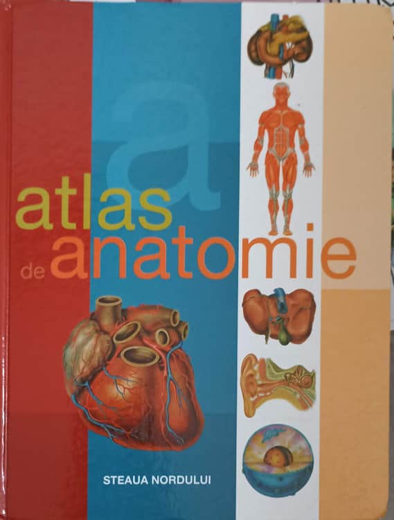 Atlas De Anatomie