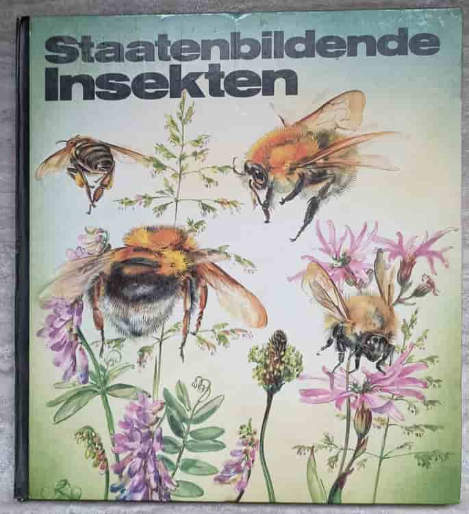 Staatenbildende insekten
