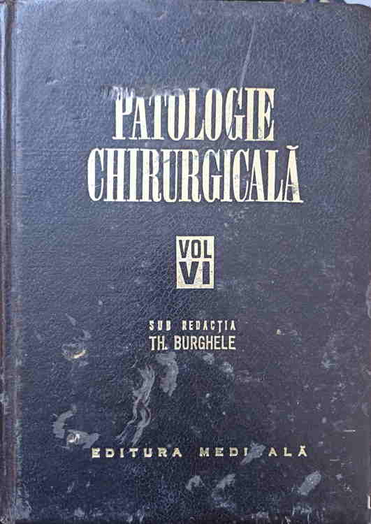 Vezi detalii pentru Patologia Chirurgicala Vol.vi