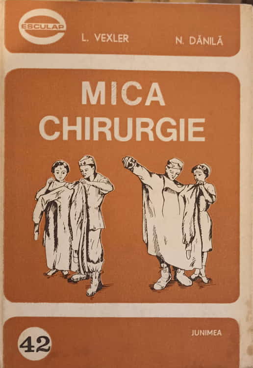 Mica Chirurgie