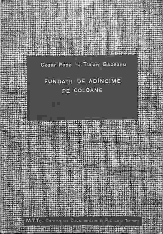 Fundatii de adancime pe coloane