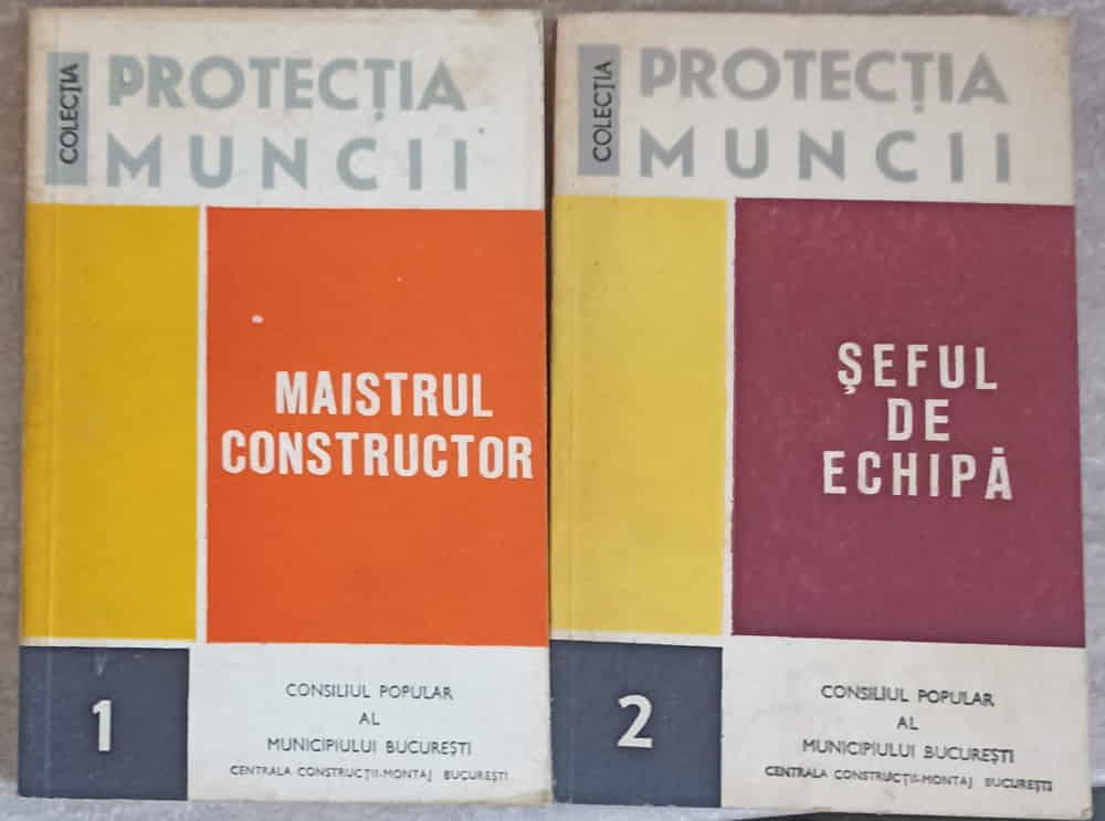 Maistrul Constructor. Seful De Echipa Vol.1-2