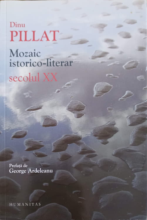 Vezi detalii pentru Mozaic Istorico-literar. Secolul Xx