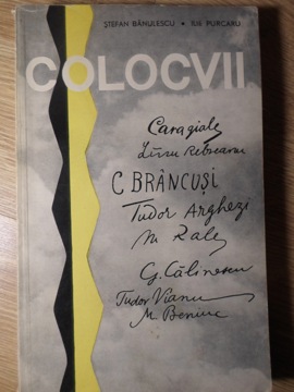 Vezi detalii pentru Colocvii. Artistul Si Epoca