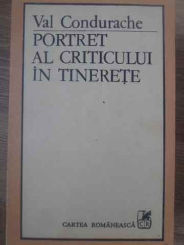 Vezi detalii pentru Portret Al Criticului In Tinerete