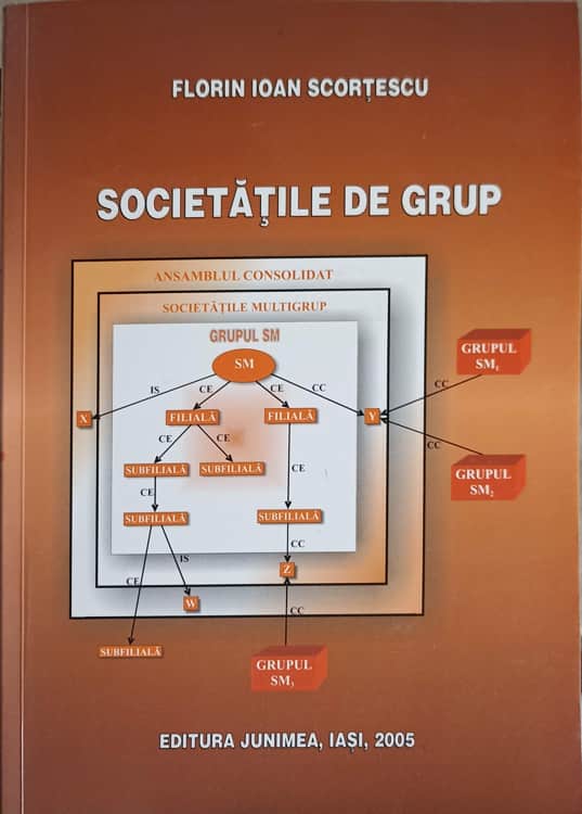 Societatile De Grup