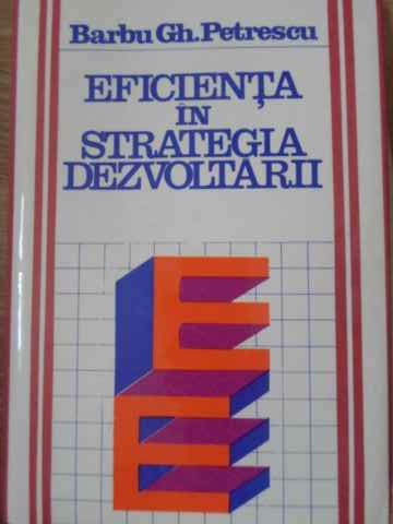 Eficienta In Strategia Dezvoltarii