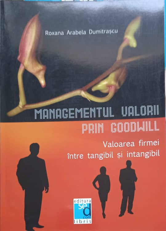 Managementul Valorii Prin Goodwill. Valoarea Firmei Intre Tangibil Si Intangibil