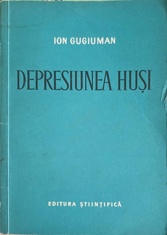 Depresiunea Husi