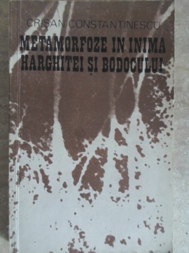 Metamorfoze In Inima Harghitei Si Bodocului