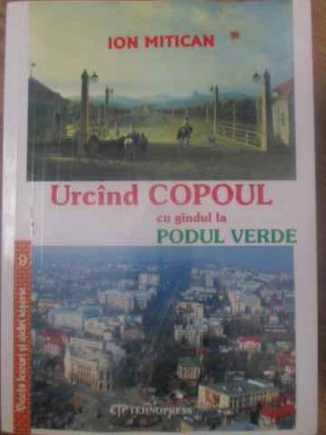 Urcand Copoul Cu Gandul La Podul Verde