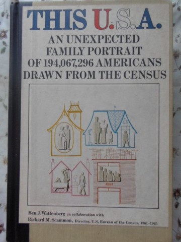 Vezi detalii pentru This U.s.a. An Unexpected Family Portrait Of 194,067,296 Americans Drawn From The Census