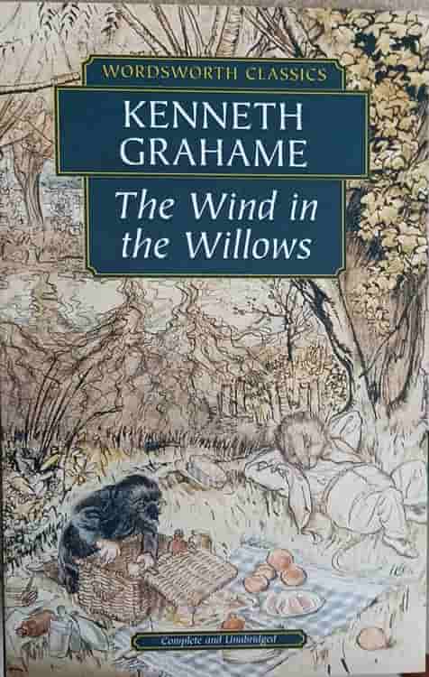 Vezi detalii pentru The Wind In The Willows