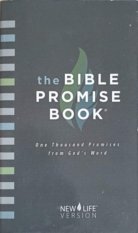 The Bible Promise Book