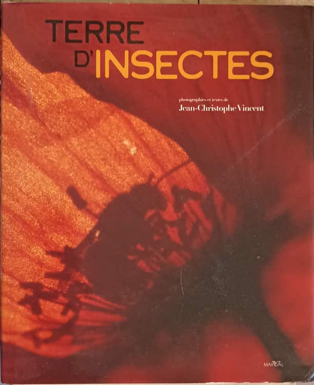 Terre d'insectes