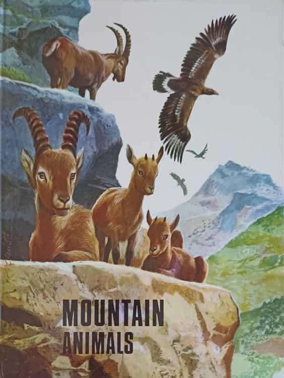 Vezi detalii pentru Mountain Animals