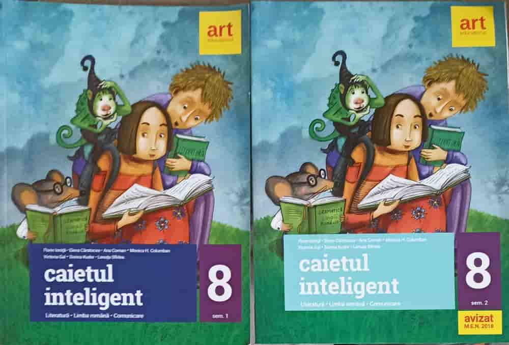 Caietul Inteligent, Clasa 8 Semestrul 1-2