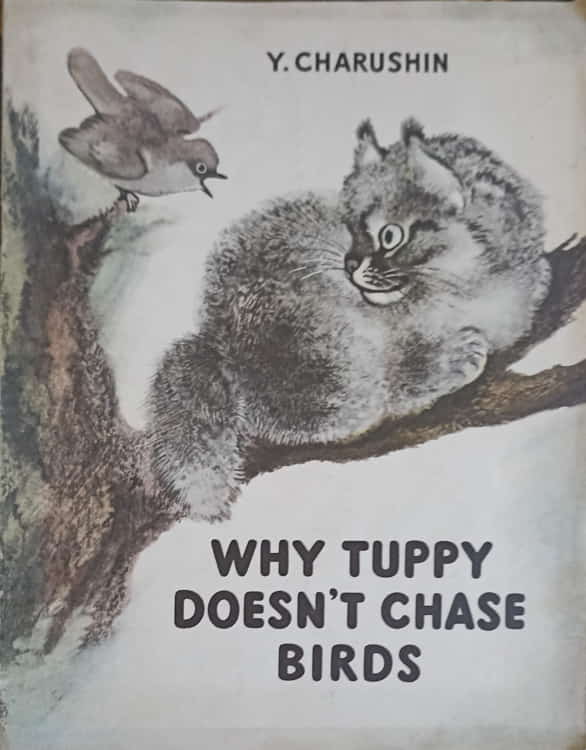 Why tuppy doesn't chase birds