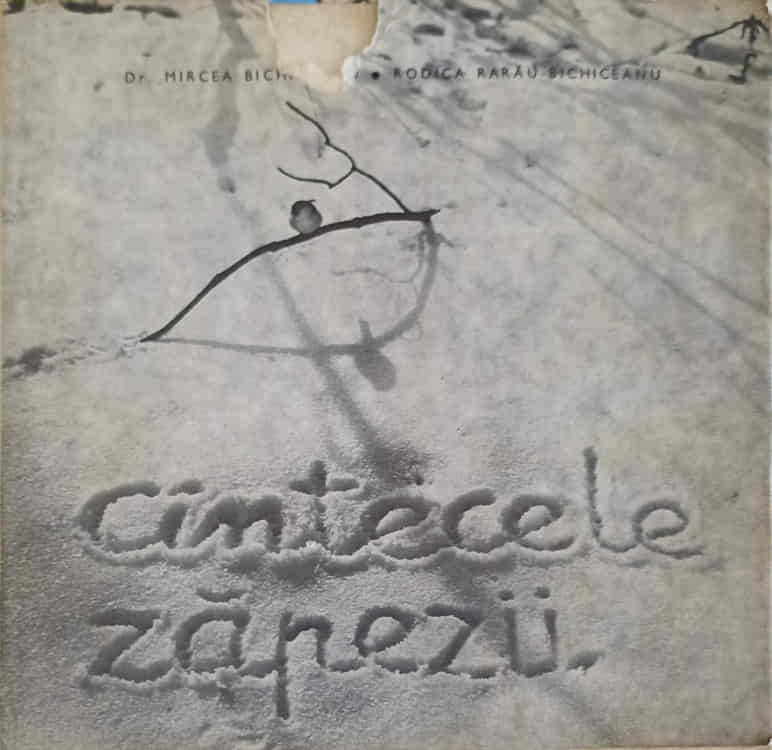 Cantecele Zapezii - O Poveste De Iarna Despre Noi, Pasarelele Unui Oras