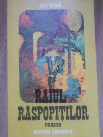 Raiul Raspopitilor