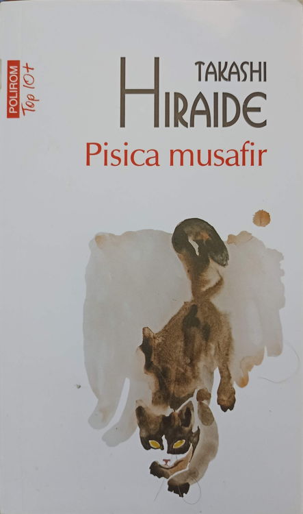 Pisica Musafir