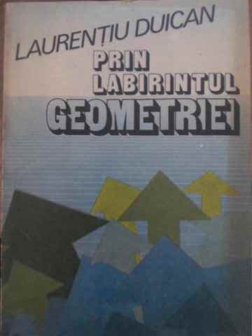 Vezi detalii pentru Prin Labirintul Geometriei