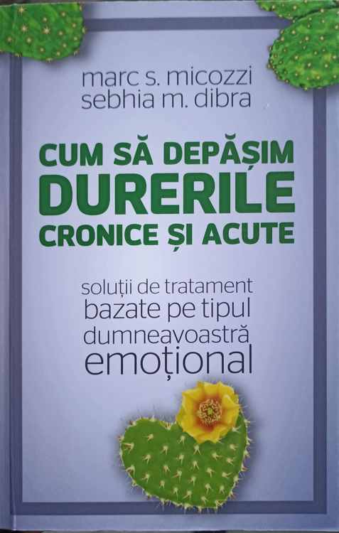 Cum Sa Depasim Durerile Cronice Si Acute. Solutii De Tratament Bazate Pe Tipul Dumneavoastra Emotional