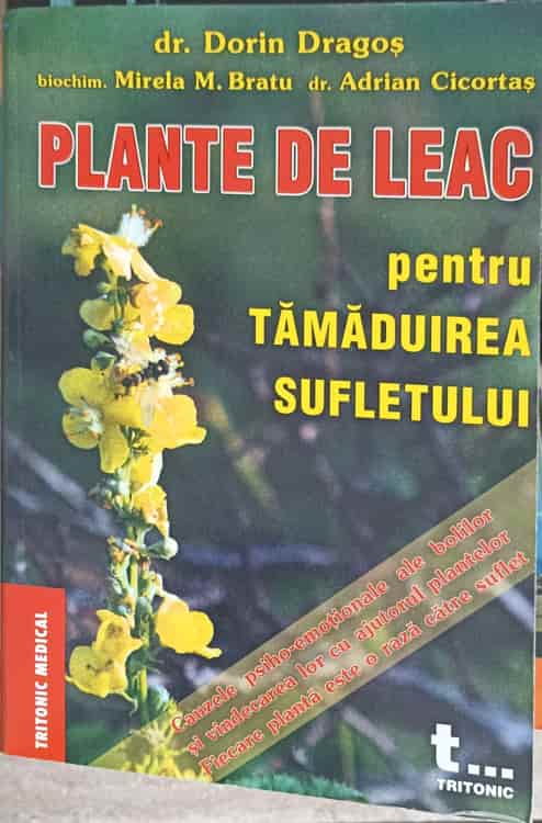 Plante De Leac Pentru Tamaduirea Sufletului