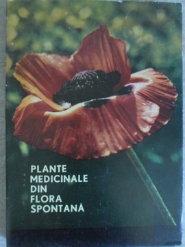 Plante Medicinale Din Flora Spontana