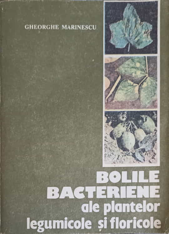 Bolile Bacteriene Ale Plantelor Legumicole Si Floricole