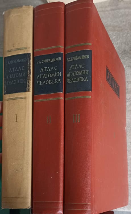 Atlas De Anatomie Umana Vol.1-3 (in Lb. Rusa)