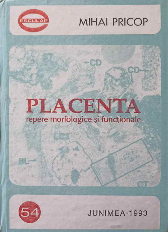 Placenta. Repere Morfologice Si Functionale