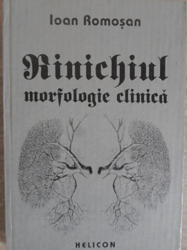 Rinichiul Morfologie Clinica