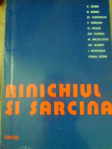 Rinichiul Si Sarcina