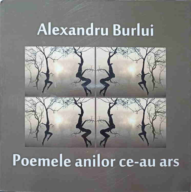 Poemele Anilor Ce-au Ars