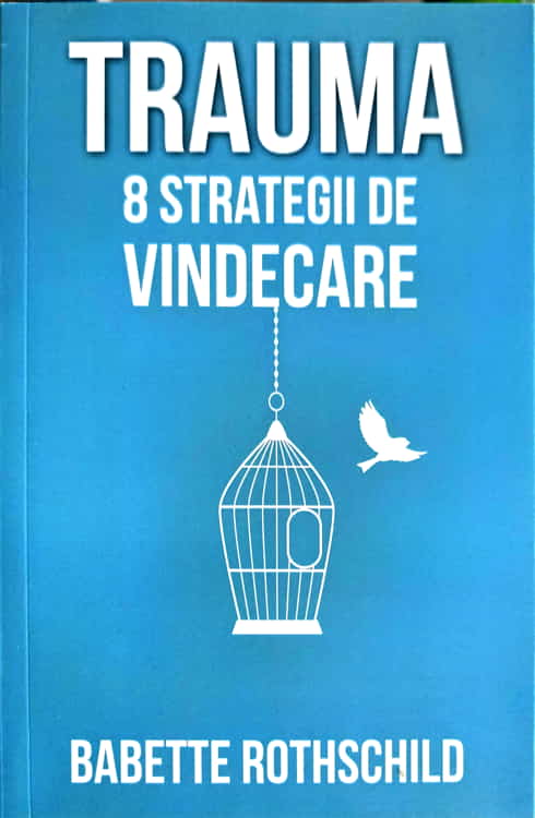 Trauma. 8 Strategii De Vindecare