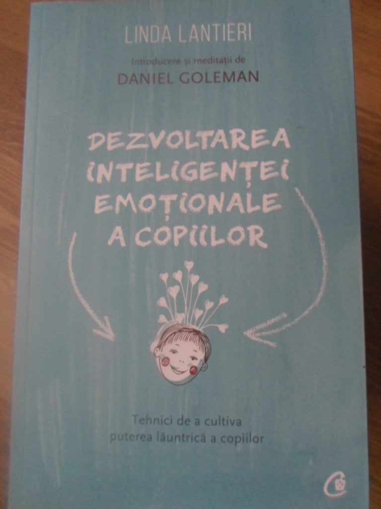 Dezvoltarea Inteligentei Emotionale A Copiilor