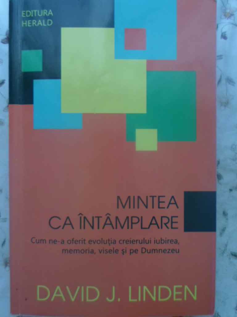 Mintea Ca Intamplare