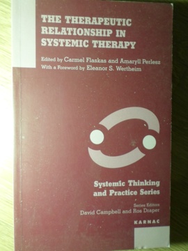 The Therapeutic Relationship In Systemic Therapy