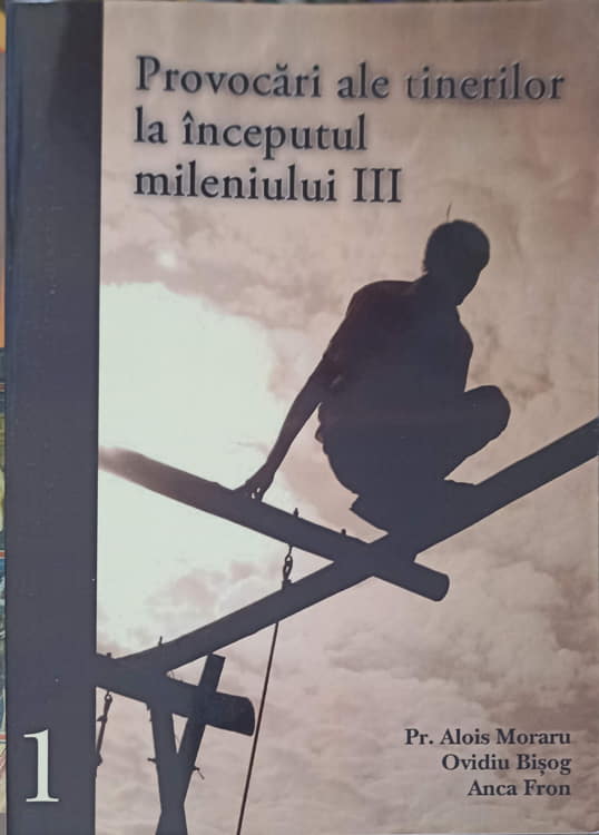 Provocari Ale Tinerilor La Inceputul Mileniului Iii Vol.1