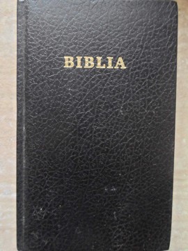 Vezi detalii pentru Biblia Sau Sfanta Scriptura. Vechiul Si Noul Testament