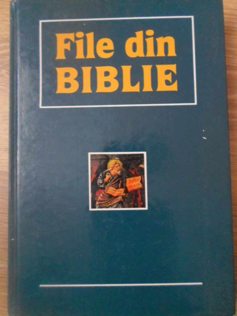 Vezi detalii pentru File Din Biblie