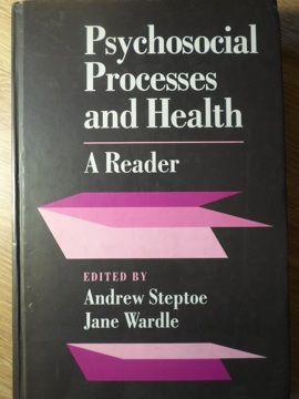 Psychosocial Processes And Health: A Reader