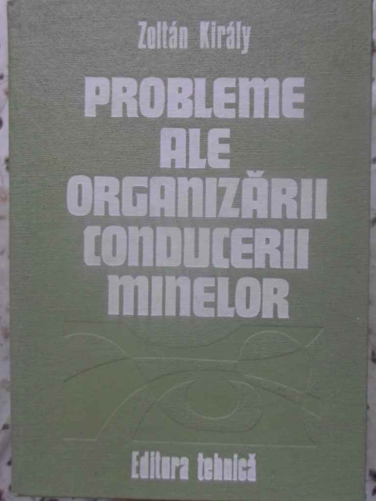 Probleme Ale Organizarii Conducerii Minelor