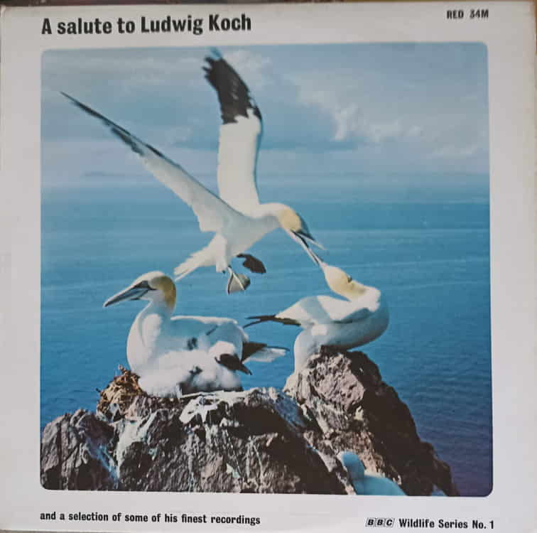 Vezi detalii pentru A Salute To Ludwig Koch