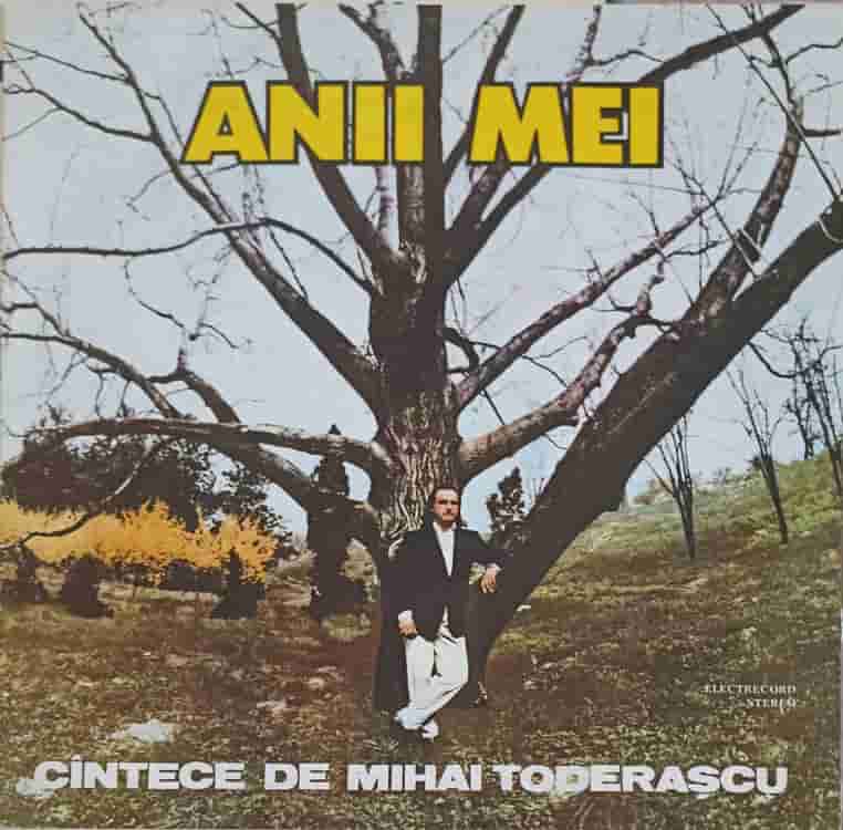 Anii Mei. Cantece De Mihai Toderascu